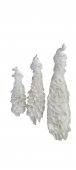 Pauni Pene Naturale 75cm