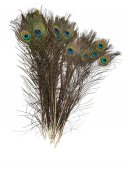Pene De Paun 25/Set 40-45cm