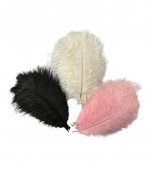 Pene De Strut 10/Set 15-20cm