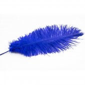 Pene De Strut Albastru 40-45cm 10/set
