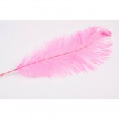 Pene De Strut Roz 40-45cm 10/set
