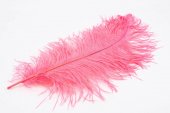 Pene De Strut Roz Inchis 40-45cm 10/set