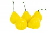 Pere Din Plastic 10/set