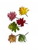 Plante Suculente Artificiale 09165-10