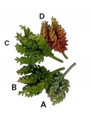 Plante Suculente Artificiale 09165-5