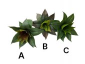 Plante Suculente Artificiale 09165-6