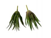 Plante Suculente Artificiale Aloe Mare