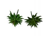 Plante Suculente Artificiale 