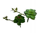 Plante Suculente Artificiale Floare Cu Boboci