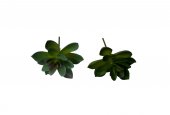 Plante Suculente Artificiale Floare Mica