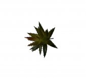 Plante Suculente Artificiale Floare Tepoasa Mica