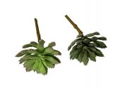Plante Suculente Artificiale Varza Bicolor