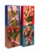 Pungi cadou Buchet Lalele si Trandafiri 12/set