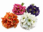 Sapunici Artificiale Buchet Legat