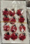 Set 12 brose Martisor model 2