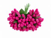 Stamine Artificiale, Ciclam, 144 fire
