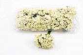Stamine Artificiale 144/set Crem