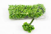 Stamine Artificiale, Verde, 144/set, lungime 8-10 cm