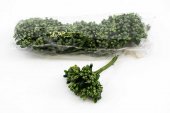 Stamine Artificiale 144/set Verde-cachi