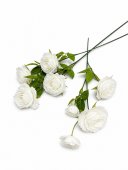 Trandafir Petale Valuri Fir Cu 3 Flori