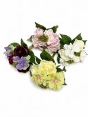 Trandafiri cu Hortensie Buchet Legat