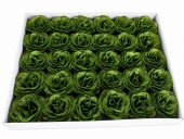 Trandafiri Cu Sclipici 30cap Verde