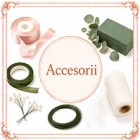 Accesorii