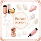 Accesorii